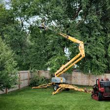 Best Tree Risk Assessment  in Hobart, WA